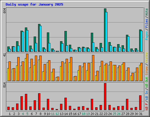 Daily usage for January 2025