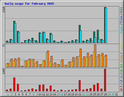 Daily usage for February 2025
