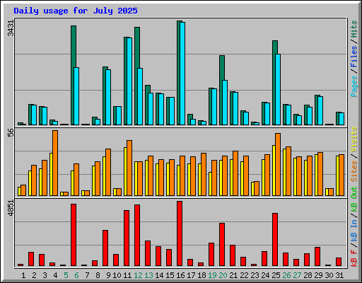 Daily usage for July 2025