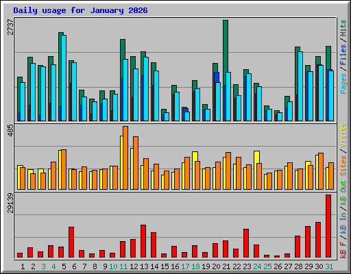 Daily usage for January 2026