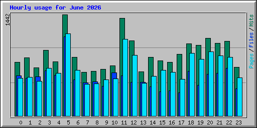 Hourly usage for June 2026