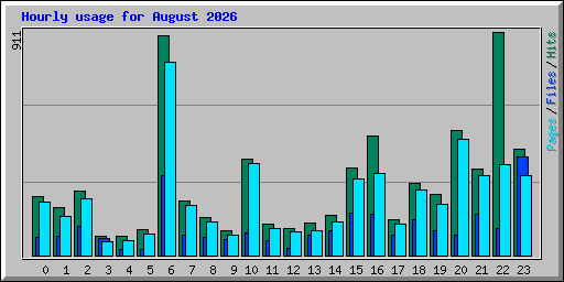 Hourly usage for August 2026